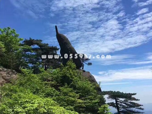 黃山風(fēng)景區(qū)怪石