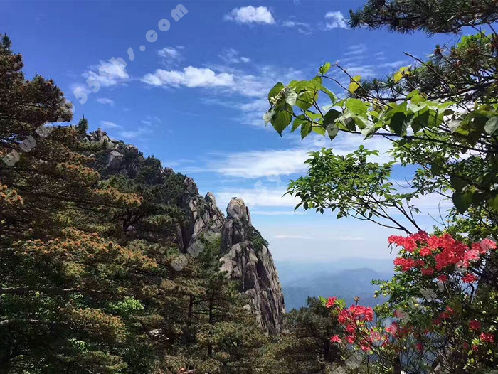 黃山一日游旅游線路