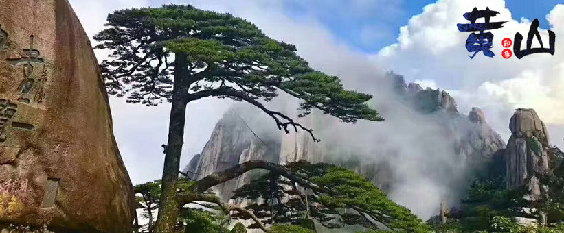 黃山旅游景點迎客松