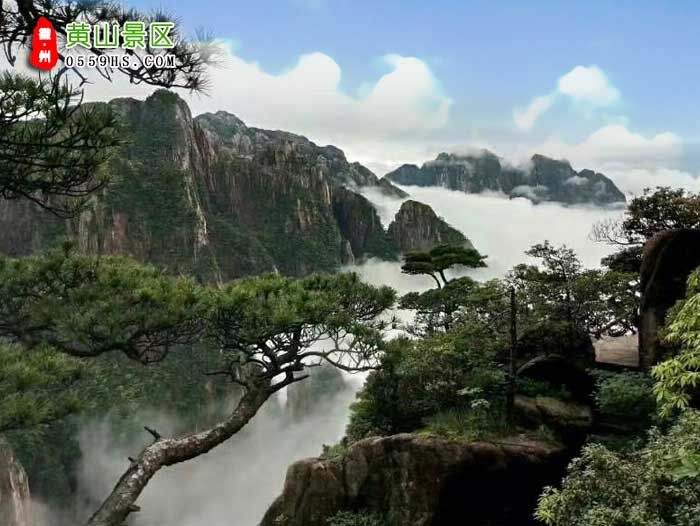 宿州到黃山旅游團(tuán)景點(diǎn)：黃山風(fēng)景區(qū)