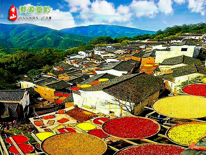 廊坊到黃山旅游團(tuán)景點：婺源篁嶺景區(qū)