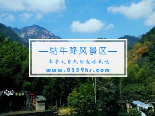 牯牛降風景區(qū)-原生態(tài)森林公園