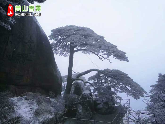 黃山旅游團(tuán)景點(diǎn)：黃山冬雪