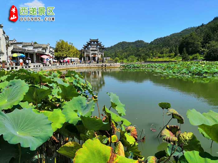 黃山旅游團(tuán)景點(diǎn)：西遞風(fēng)景區(qū)