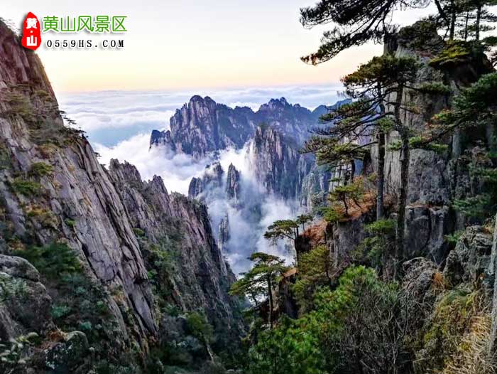 蚌埠到黃山旅游團景點:黃山風(fēng)景區(qū)