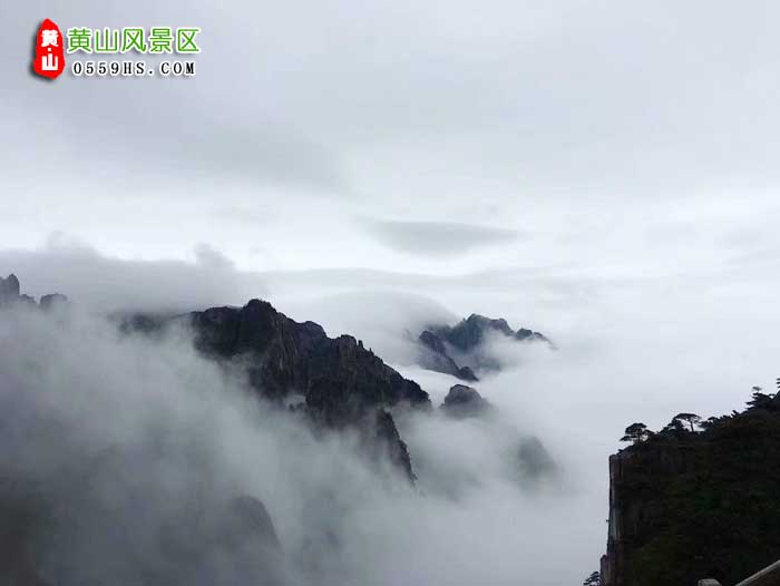 金華到黃山旅游團(tuán)景點(diǎn)：黃山云海