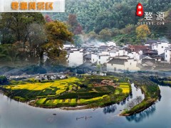 婺源風(fēng)光一日游-黃山周邊春季熱門(mén)路線