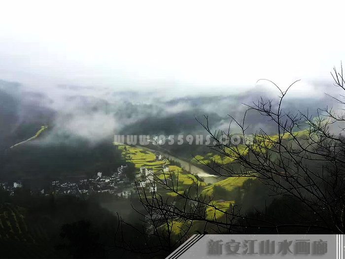 新安江山水畫廊油菜花