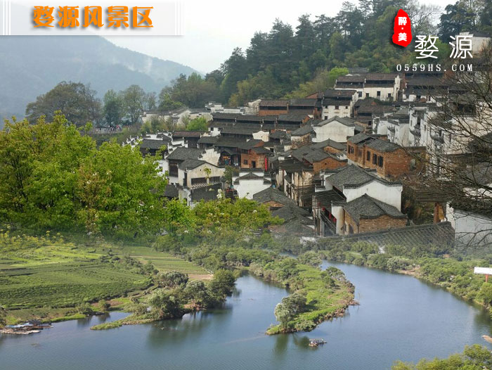 婺源風(fēng)光一日游