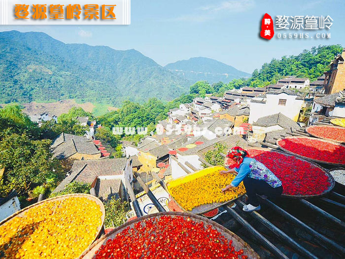 婺源篁嶺一日游