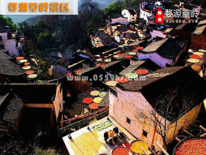 婺源篁嶺一日游-秋色