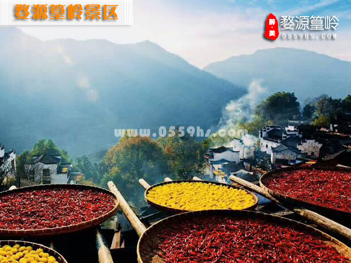 婺源篁嶺一日游-曬秋