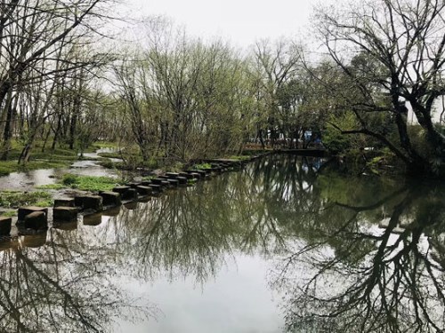 黃山西溪南景區(qū)圖二