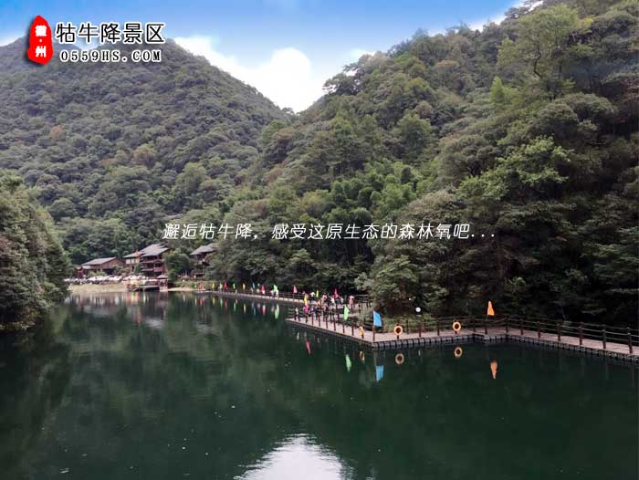 牯牛降一日游景點(diǎn)：牯牛降圖四