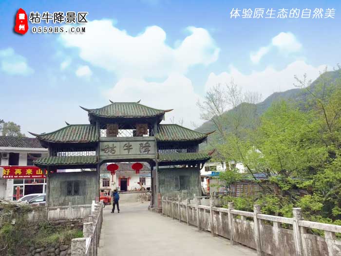 牯牛降一日游景點(diǎn)：牯牛降圖三