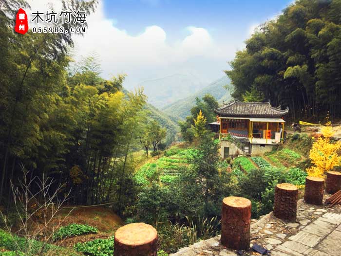 黃山跟團(tuán)一日游景點(diǎn)：木坑竹海