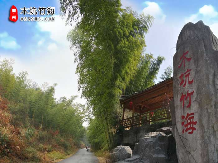 黃山跟團一日游景點：木坑竹海