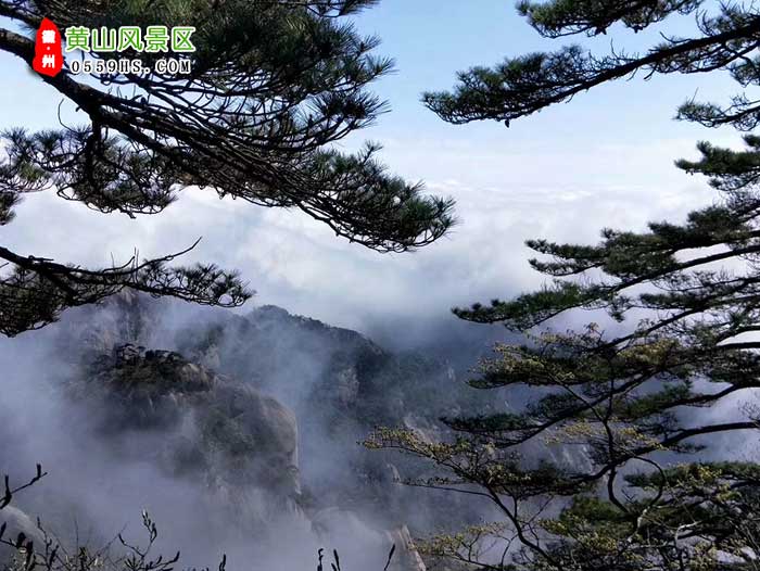 常州到黃山三日游途中景點：黃山風景區(qū)