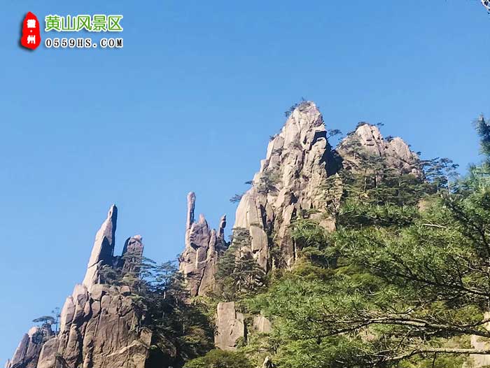 鎮(zhèn)江到黃山三日游景點：黃山風(fēng)景區(qū)