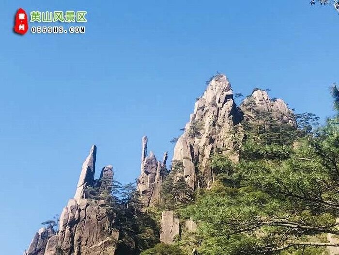 棗莊到黃山三日游景點(diǎn)：黃山風(fēng)景區(qū)圖2