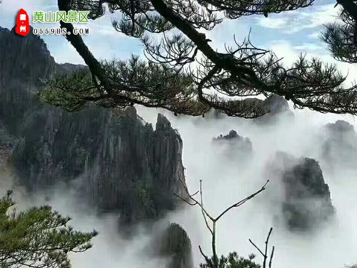 黃山二日游景點：黃山云海圖