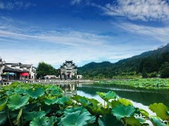 西遞、宏村、婺源篁嶺、牯牛降、黃山五日游線路報(bào)價(jià)