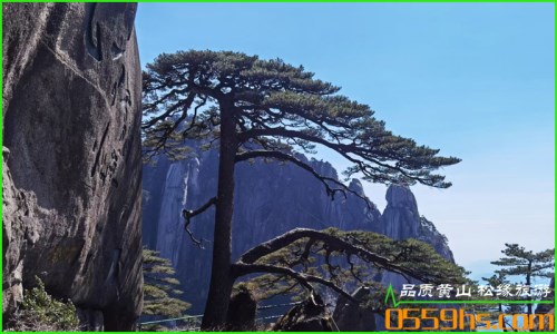 「黃山一日游」怎么安排？